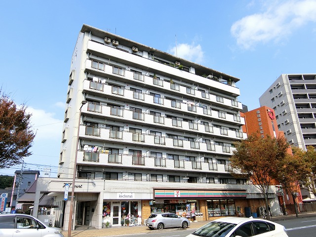 Large Image