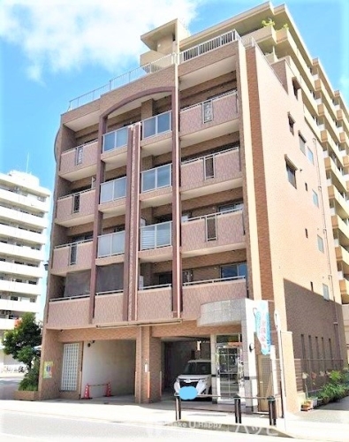Large Image