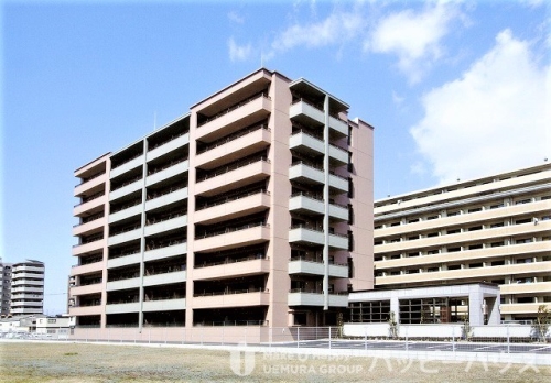 Large Image