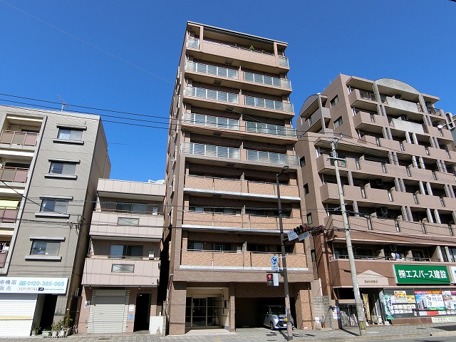 Large Image