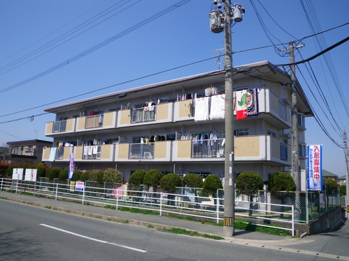 Large Image