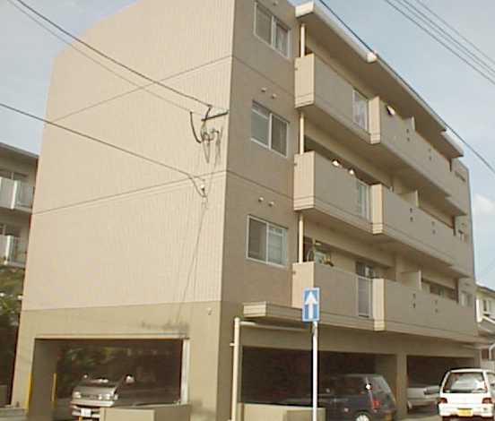 Large Image