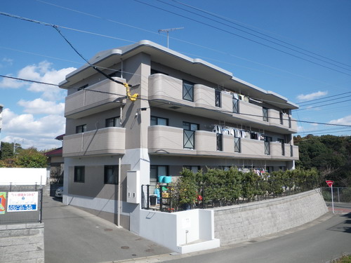 Large Image