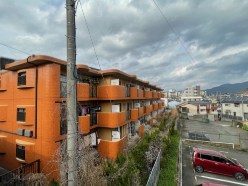 Large Image