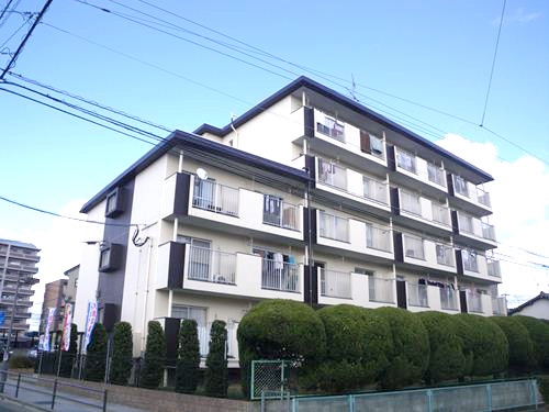 Large Image