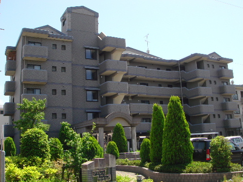 Large Image