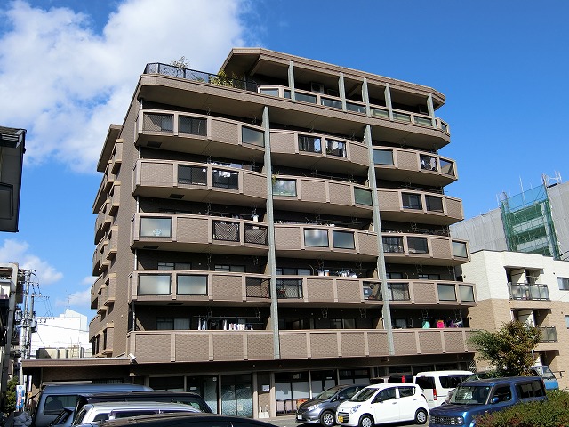 Large Image