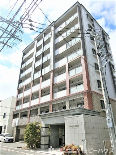 Large Image