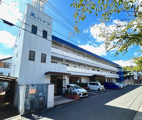 Large Image