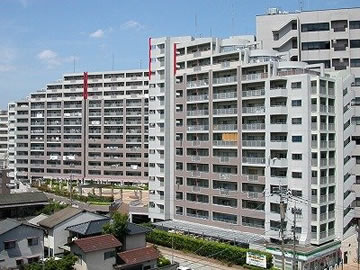 Large Image