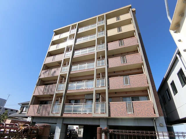 K.313 fukuoka