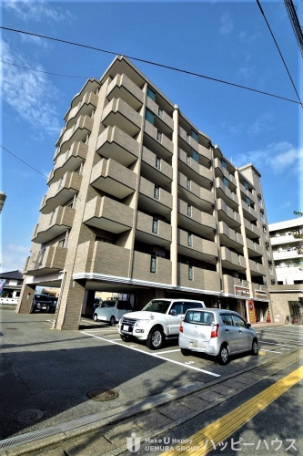 Large Image