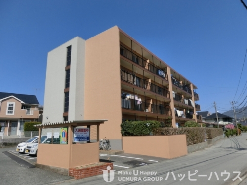 セルサス２１