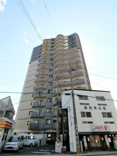 Large Image