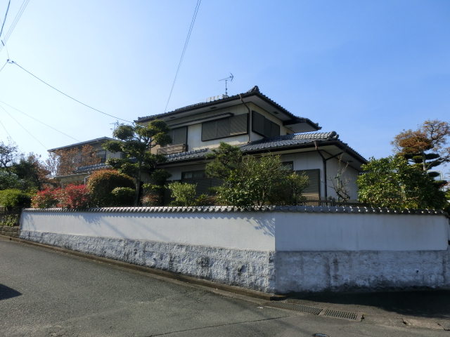 Large Image