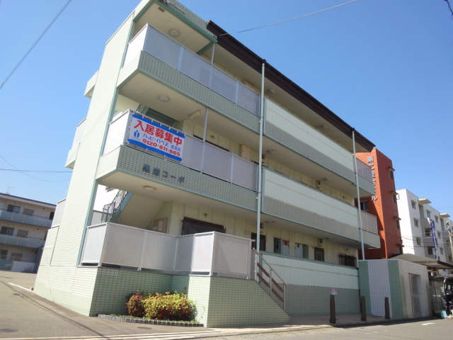 Large Image