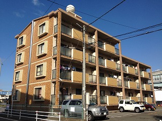 Large Image