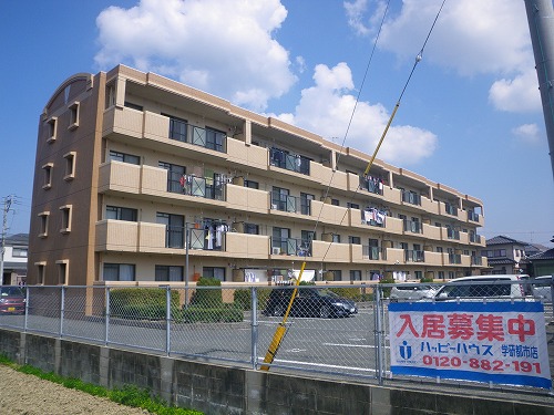 アムールＴＯＭＯＩＫＥ