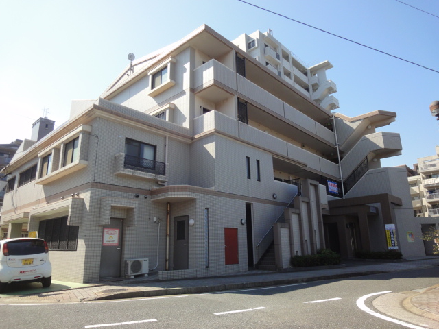 Large Image