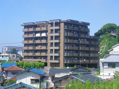 Large Image