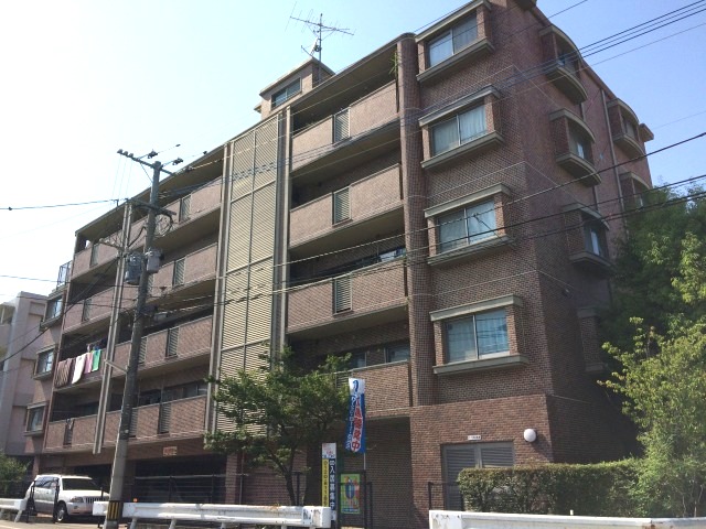 Large Image