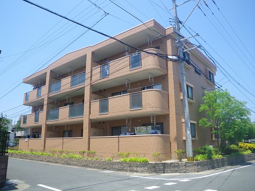 Large Image