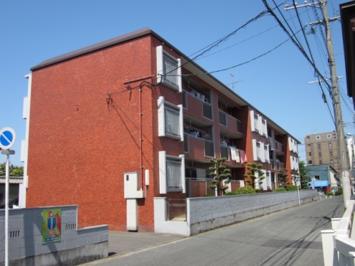 Large Image