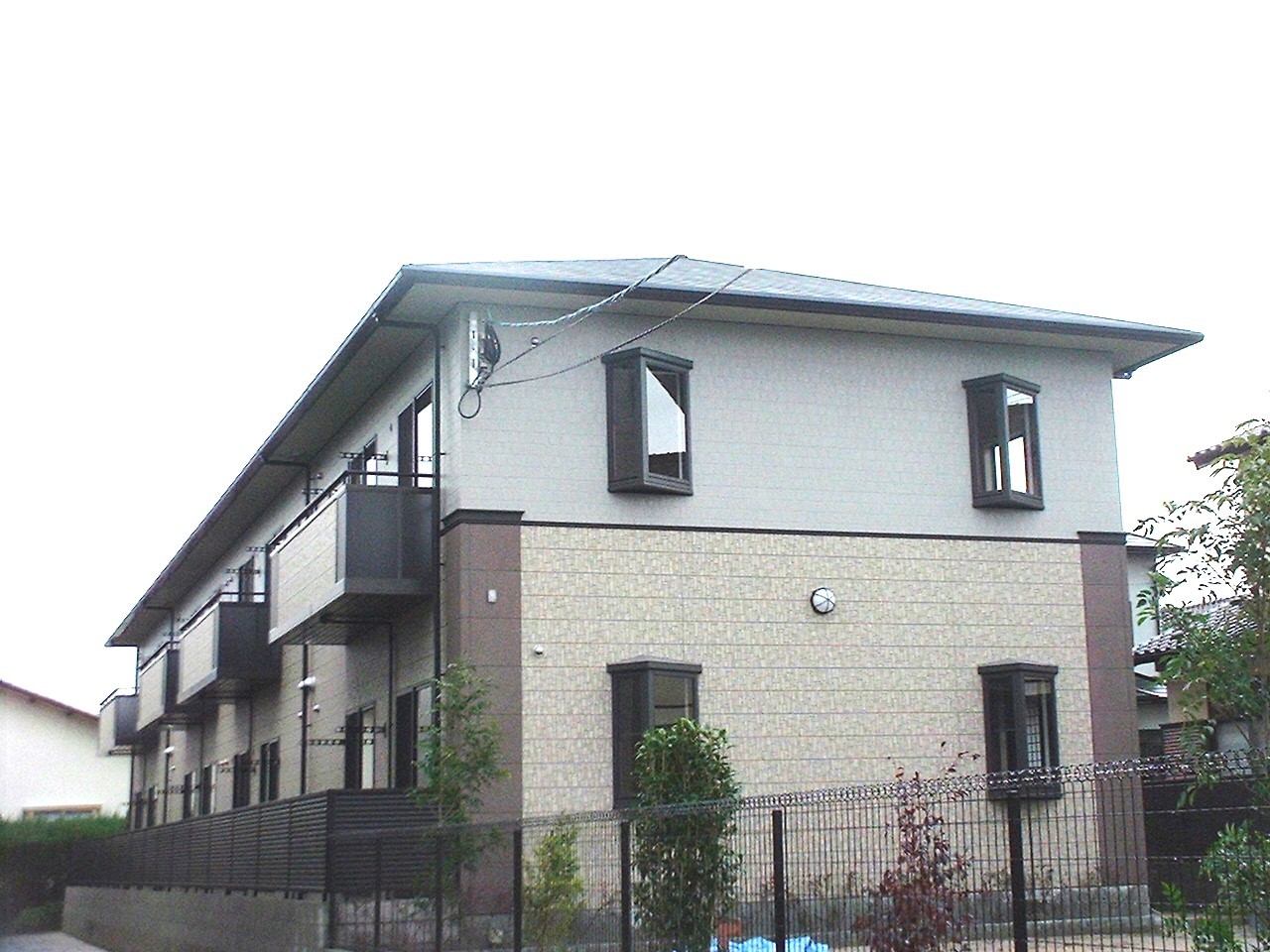 Large Image