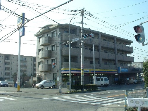 Large Image