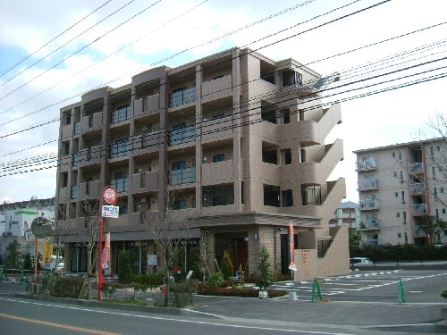 Large Image