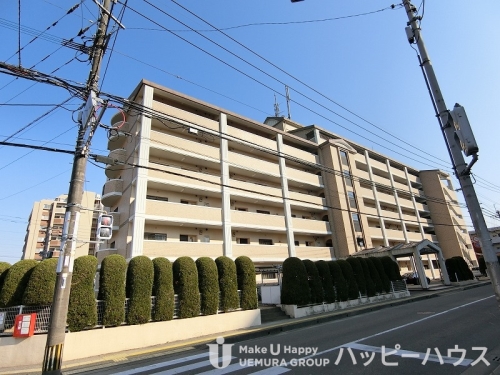 レスピーザ53
