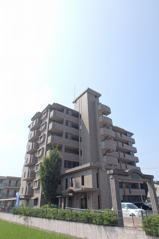 Large Image