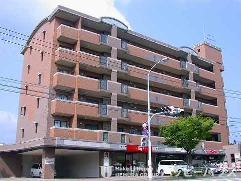 Large Image