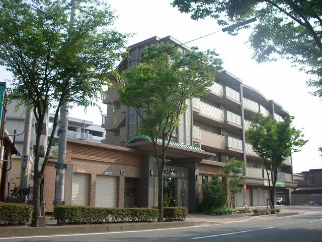 Large Image