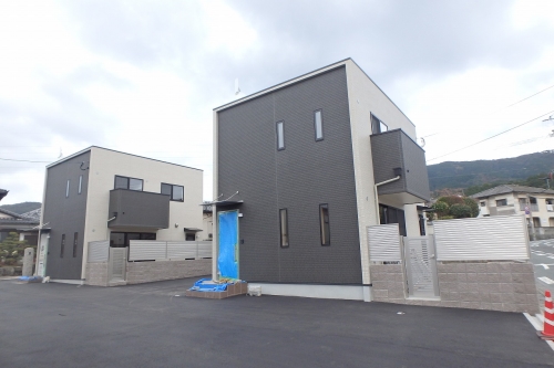 Large Image