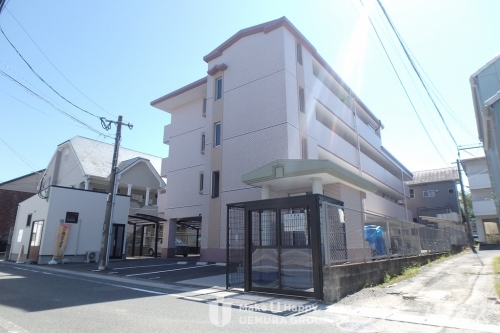 Large Image