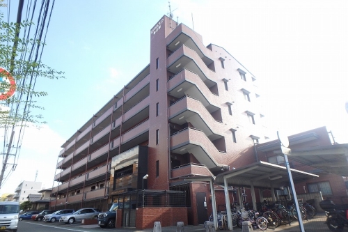 Large Image