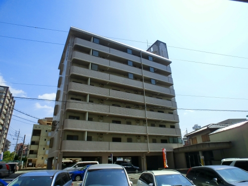 Large Image