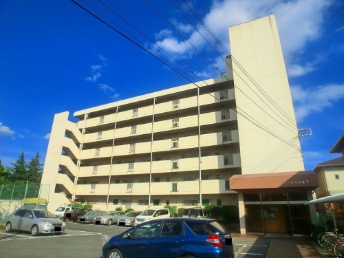 Large Image