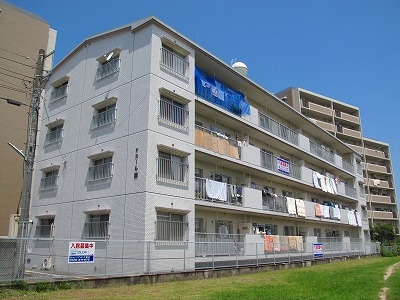 Large Image