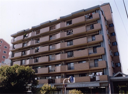 Large Image