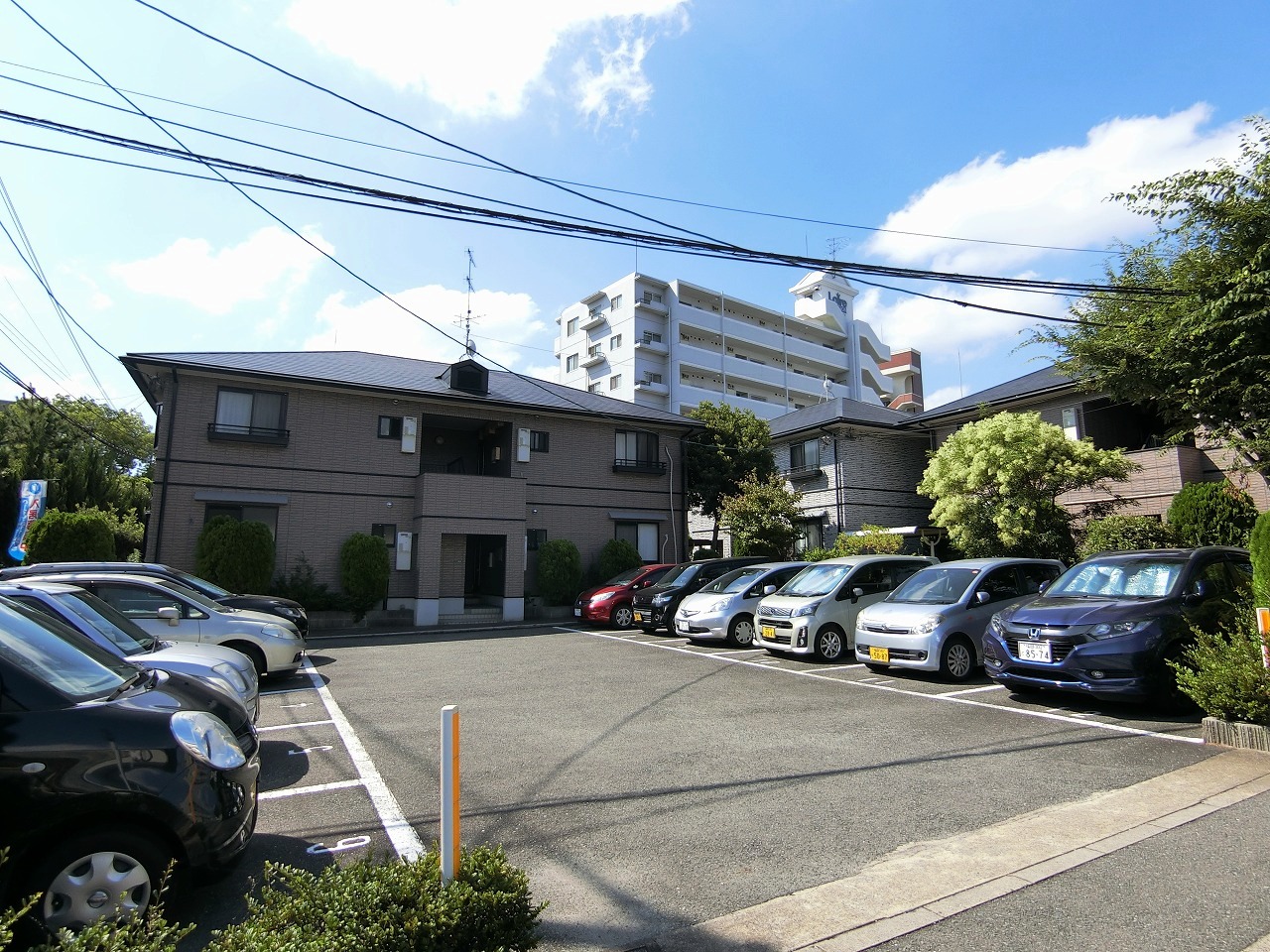 Large Image