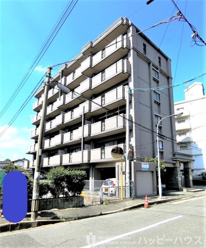 Large Image