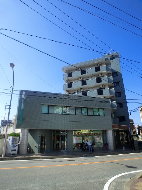 Large Image