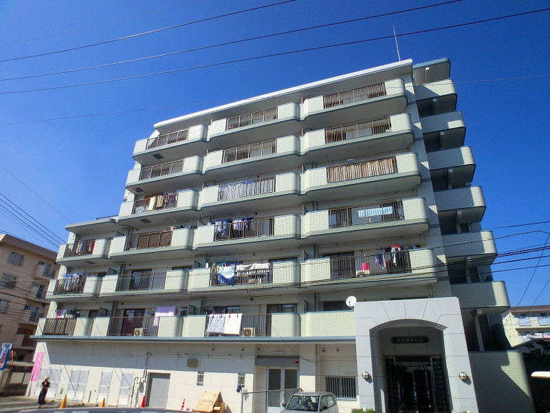 Large Image