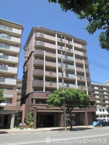 Large Image