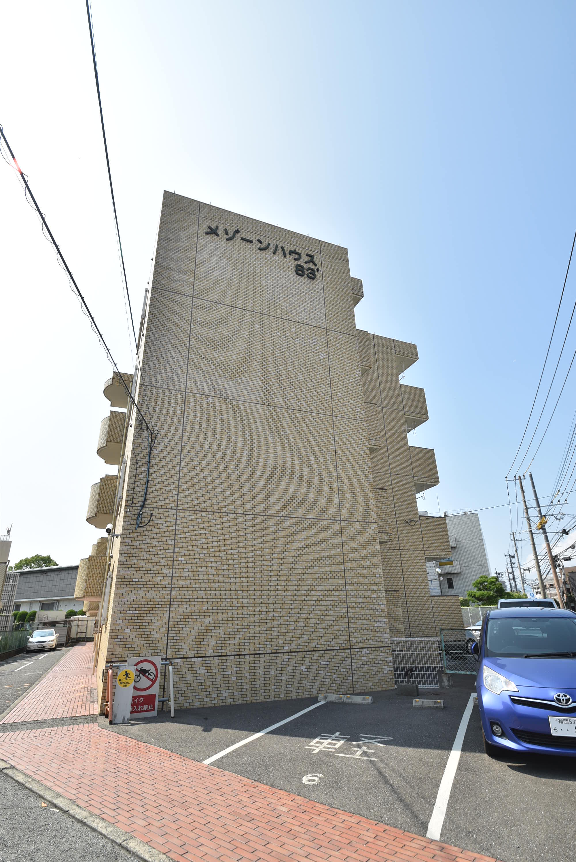 Large Image