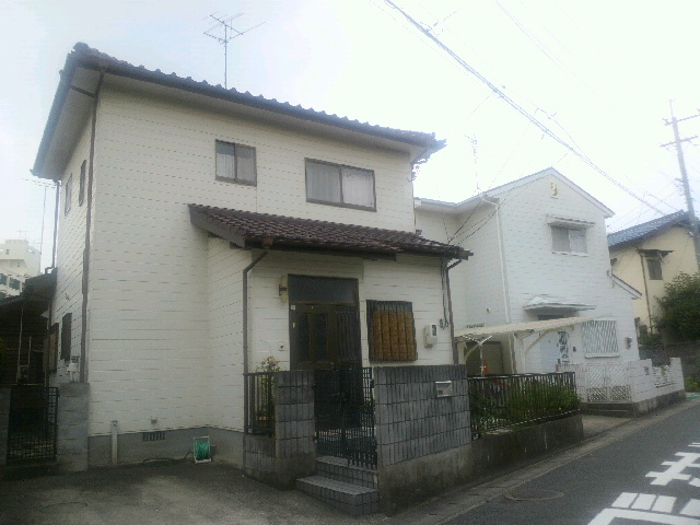 Large Image