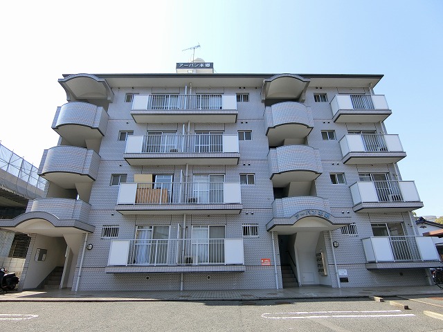Large Image
