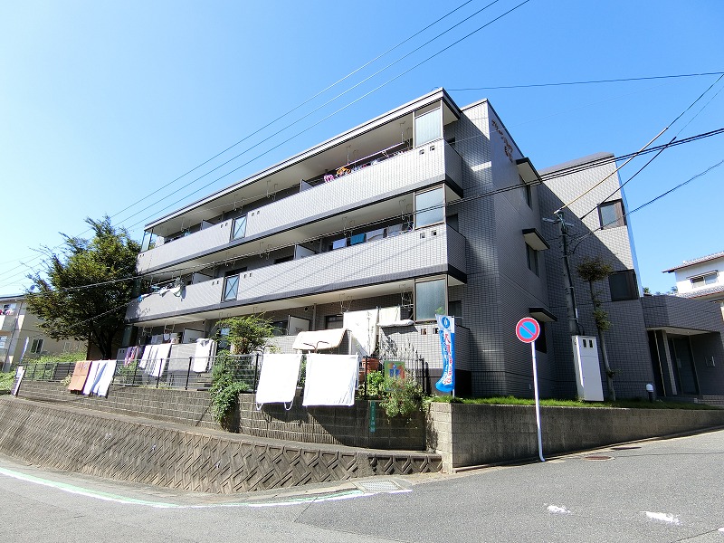 Large Image